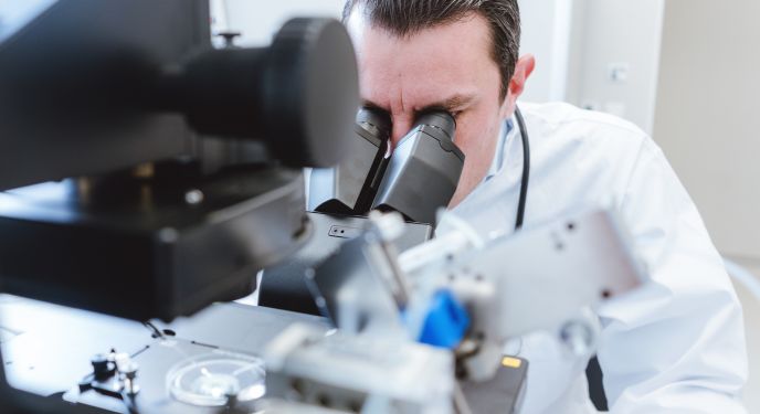 Биопсия яичка в Киеве