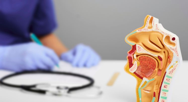 Когда нужно обратиться к ЛОРу 1