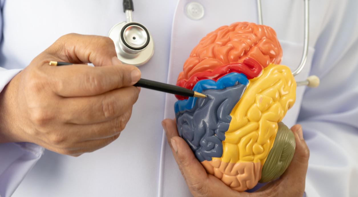 Возможные осложнения цереброваскулярных болезней