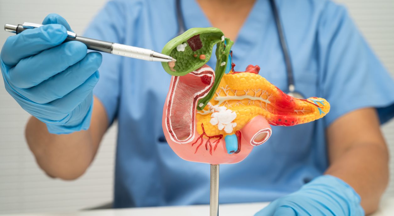 Що таке панкреатит і чому важлива дієта