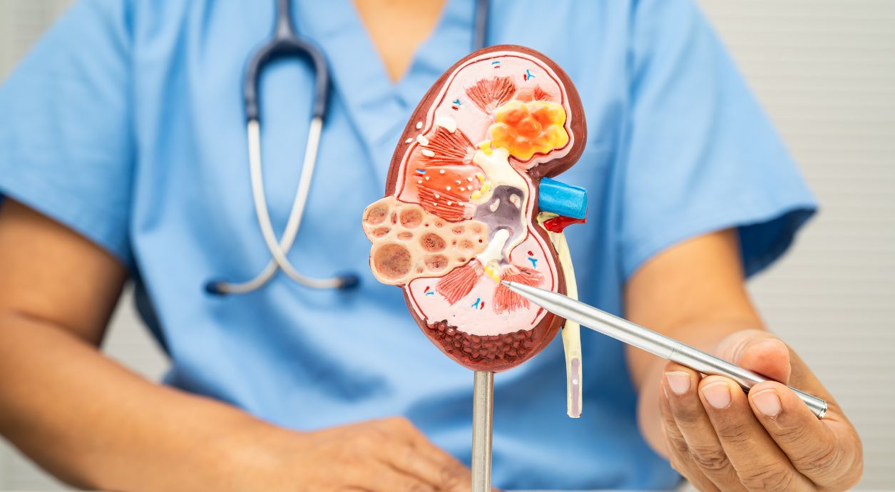 Болять нирки: що робити
