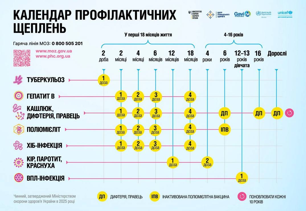 График прививок для взрослых в 2026 году