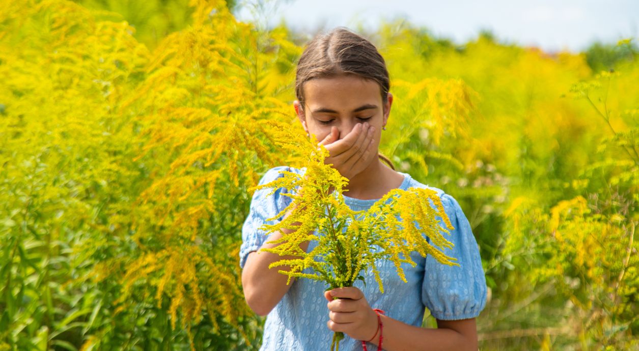Як лікувати алергію на амброзію: коли звернутись до лікаря