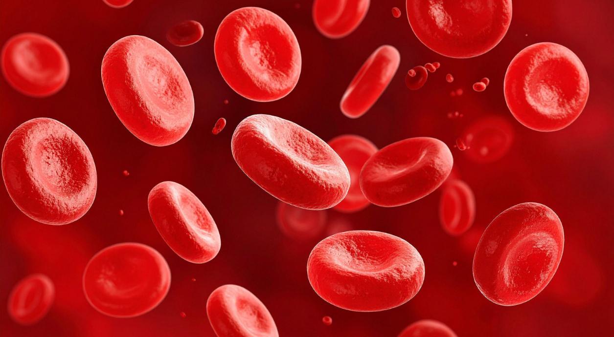 Що показує гематокрит