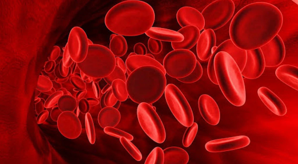 Анемия: как повысить гемоглобин