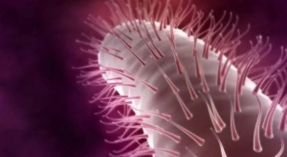 Что такое Helicobacter pylori и как она связана с заболеваниями желудочно-кишечного тракта?