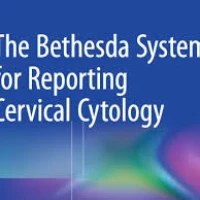 Цитология шейки матки по классификации Бетесда