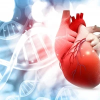 Эндокардит: симптомы и методы лечения