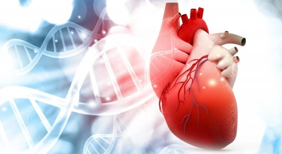 Эндокардит: симптомы и методы лечения