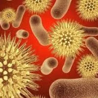 Как лечить уреаплазмоз