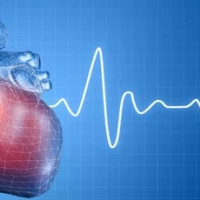 Как расшифровать кардиограмму?