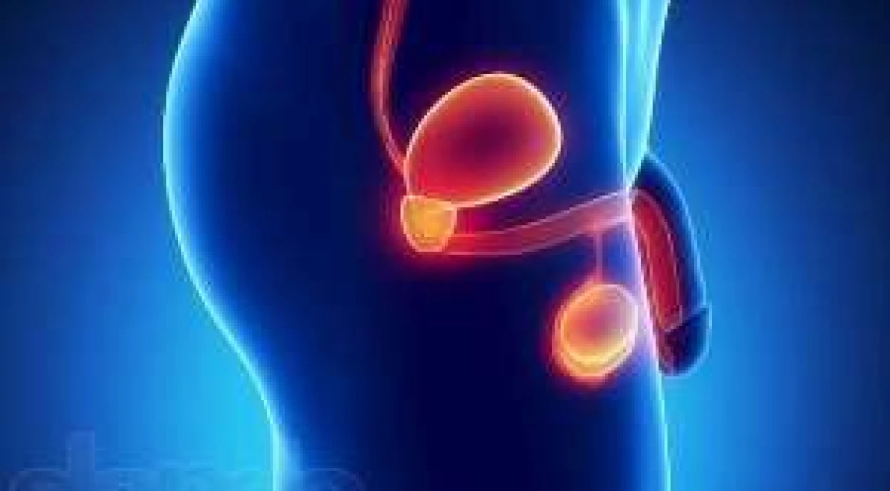 Что такое массаж простаты и какая его польза