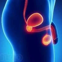 Что такое массаж простаты и какая его польза