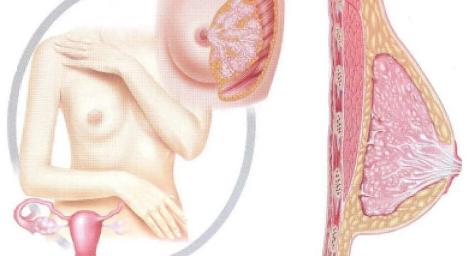 Мастопатія та вагітність