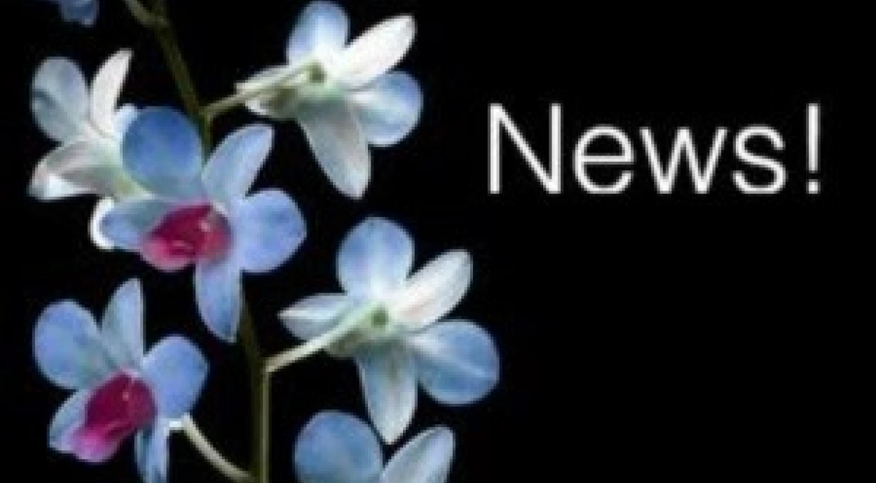 Наши врачи в Израиле в компании Syneron