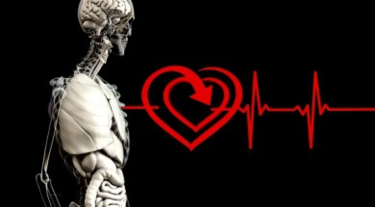 Отличия реактивного и хронического панкреатита