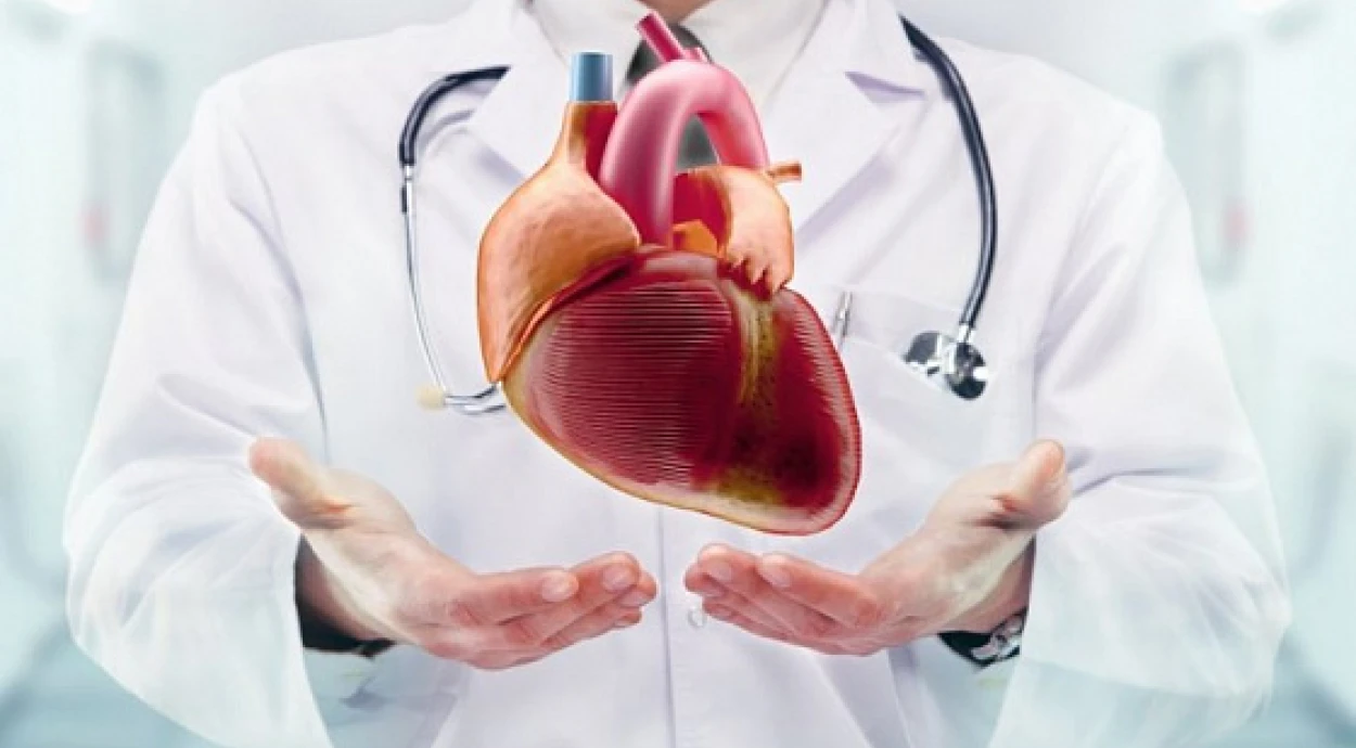 Пороки сердца: симптомы, виды и методы лечения