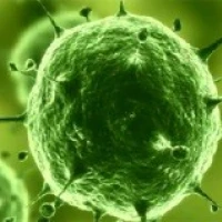 Проверка на ЗППП