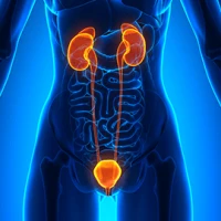 Рак мочевого пузыря: симптомы, диагностика и методы лечения