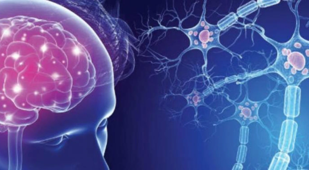 Рассеянный склероз: причины, симптомы и методы лечение