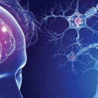 Розсіяний склероз: причини, симптоми та методи лікування