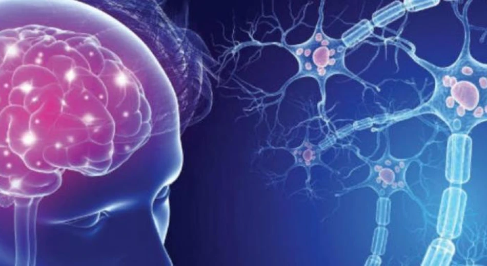 Рассеянный склероз: причины, симптомы и методы лечение