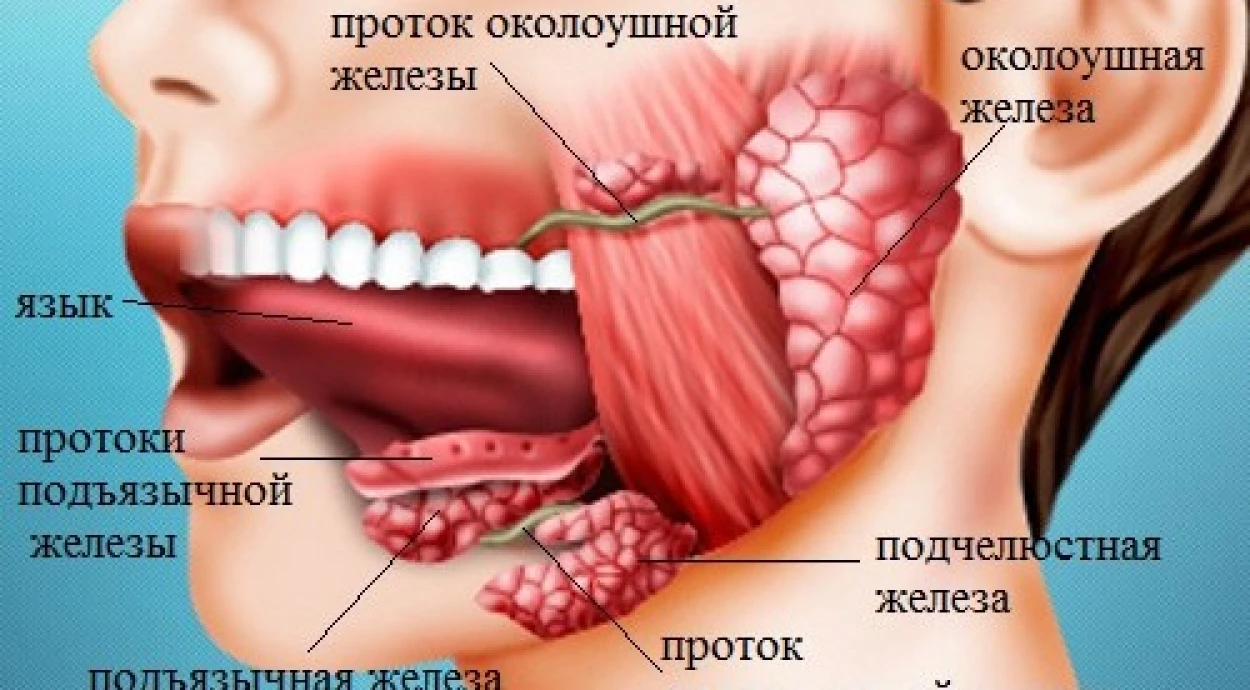 Удаление слюнной железы