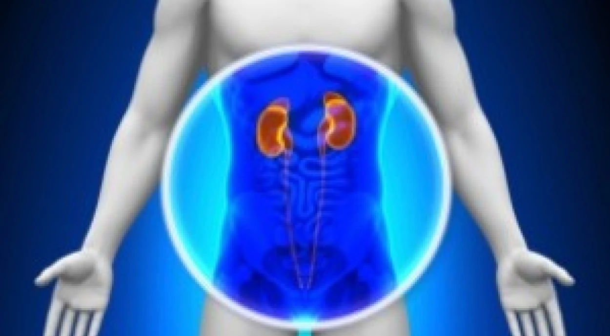 Урологи "Оксфорд Медикал" повышают квалификацию