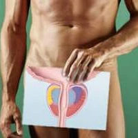 УЗД органів мошонки