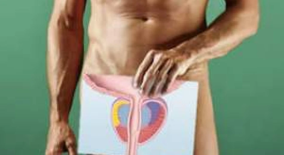 УЗД органів мошонки