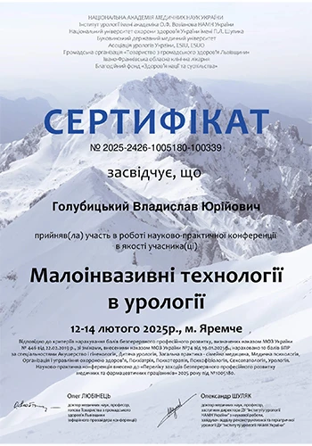 Голубицкий Владислав Юрьевич