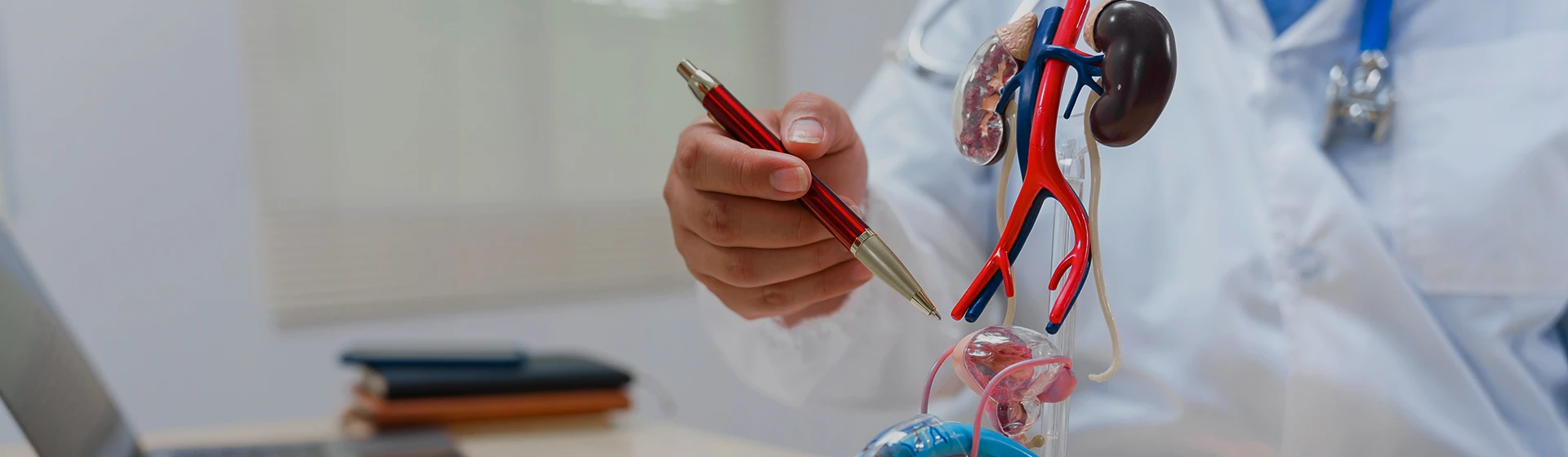 Лечение короткой уздечки