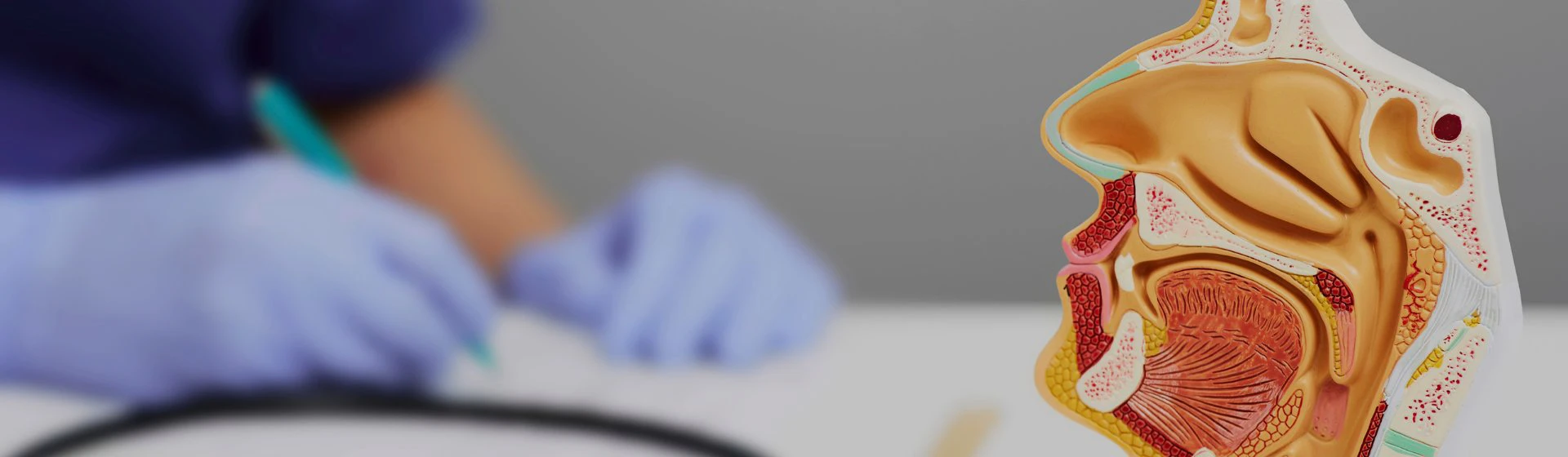 Treatment of allergic rhinitis in the private clinic Oxford Medical Kyiv