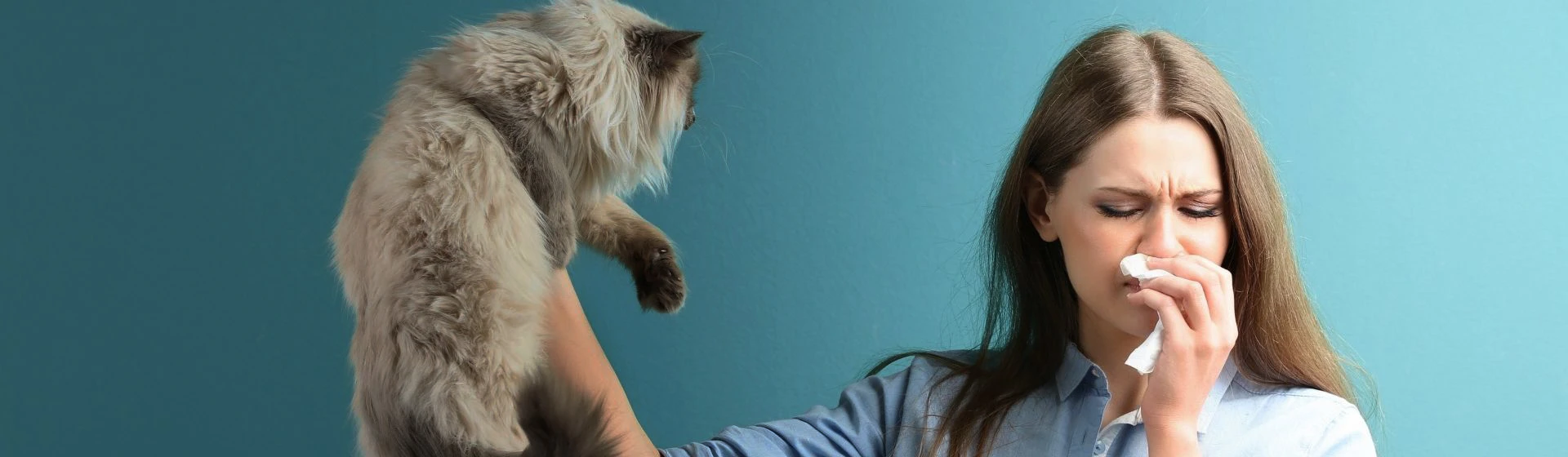 Лечение аллергии на животных в частной клинике Оксфорд Медикал Киев