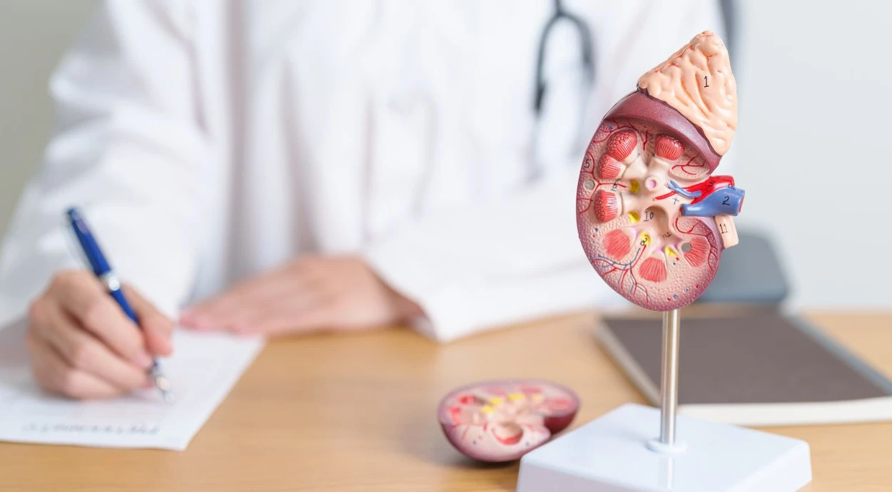 Можно ли умереть от камней в почках