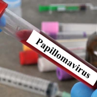 Что такое ВПЧ и как передается?