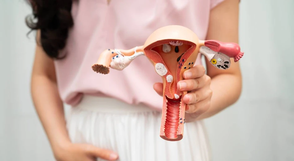 Что такое гистероскопия и как ее проводят