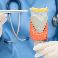 Что такое тиреотропный гормон: норма ТТГ у женщин, мужчин и детей