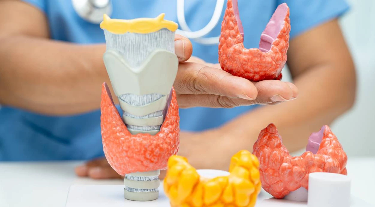 Как уменьшить узлы на щитовидке