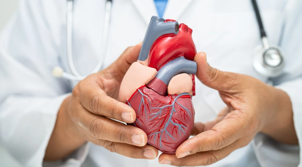 What is ischemic heart disease: how does it manifest and how is it treated?