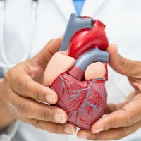 What is ischemic heart disease: how does it manifest and how is it treated?