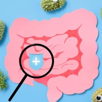 Зелений кал у дорослого: причини та коли слід звертатись до лікаря