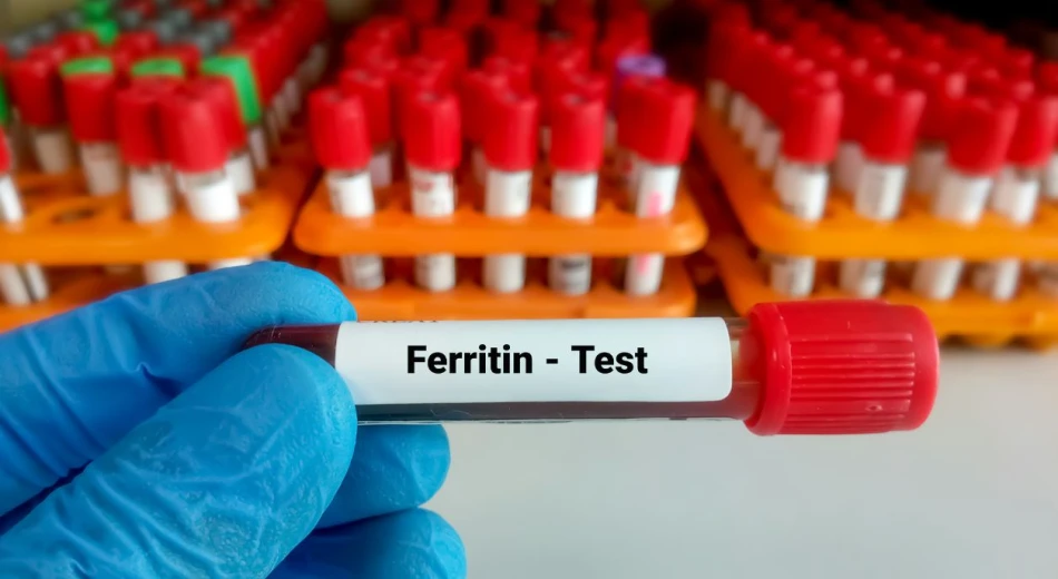 Ferritin: what is it, what is the norm and what to do if it is abnormal